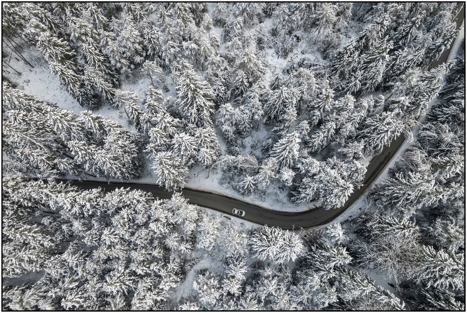 Drohnenbild von einem Winterwald