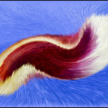 Bilder des Monats 2025